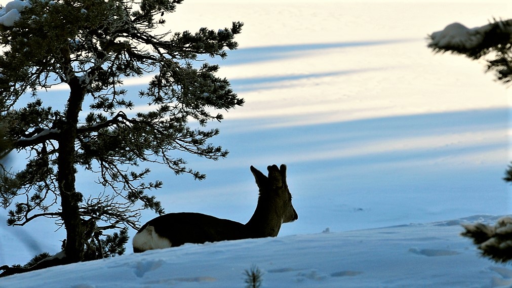Haluan tulla näkyväksi