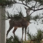 Ymmärrys sinusta syntyy kun ymmärrän&nbsp;itseäni